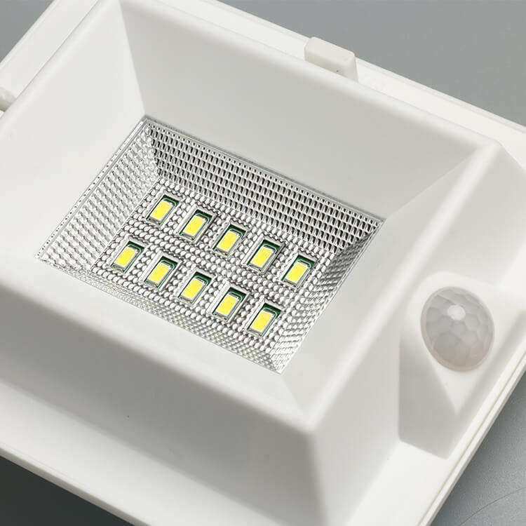 PIR 모션 센서와 300lm 빛 플럭스를 가진 외관 벽에 장착 된 태양 정원 조명